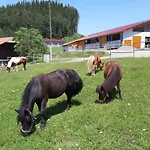 Appartement Schlosshof - Der Urlaubsbauernhof