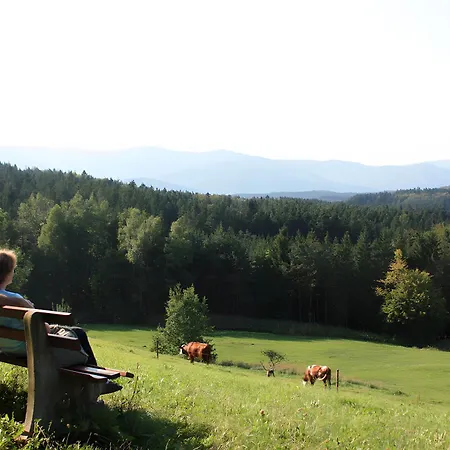 Schlosshof - Der Urlaubsbauernhof Apartment Elzach