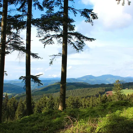 Apartment Schlosshof - Der Urlaubsbauernhof Elzach