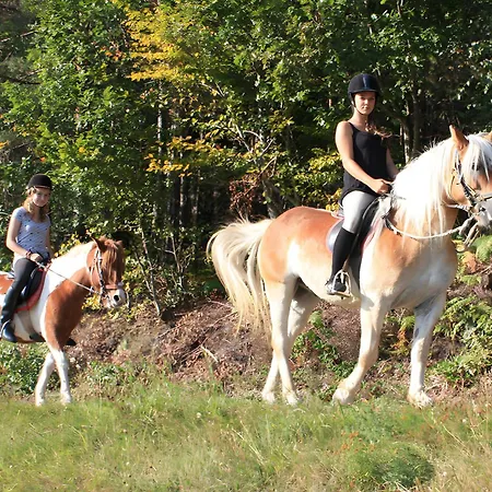 Schlosshof - Der Urlaubsbauernhof Apartment