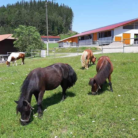 Apartmán Schlosshof - Der Urlaubsbauernhof