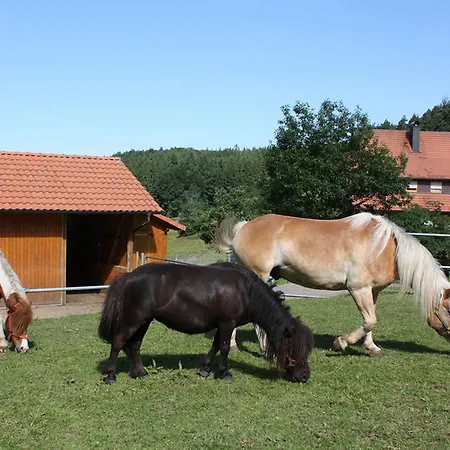 Schlosshof - Der Urlaubsbauernhof Elzach