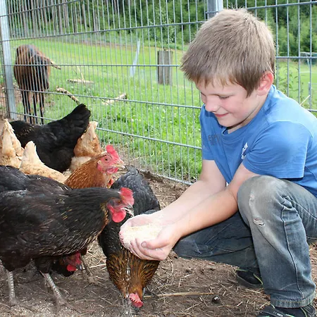Farm stay Schlosshof - Der Urlaubsbauernhof