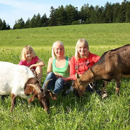 Farm stay Schlosshof - Der Urlaubsbauernhof Elzach